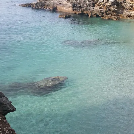 Bosankic Apartament *